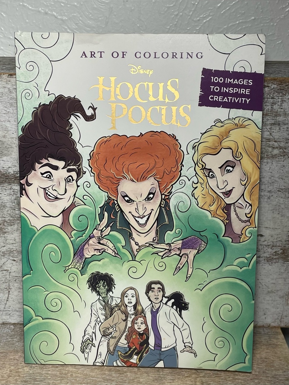 Disney Hocus Pocus Art Of Coloring 100 Images To Inspire Creativity READ BELOW